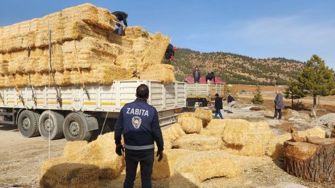 Konyaaltı Belediyesi'nden deprem bölgesindeki hayvan üreticilerine yem ve saman desteği