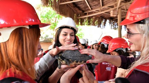 Konyaaltı Belediyesi'nin Antalya Hayvanat Bahçesi’nde uygulamalı hayvan kurtarma eğitiminden kareler