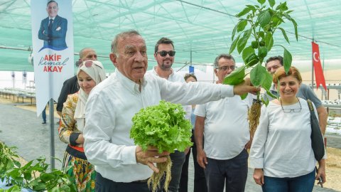 Seyhan Belediyesi'nin Birleşmiş Milletler destekli Yenilikçi Tarım Uygulamaları Serası hizmete girdi