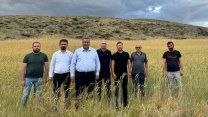 CHP'li Ömer Fethi Gürer: Çağrımızı yeniliyoruz; Buğday alım fiyatı 15 bin TL/ton olarak revize edilsin