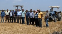 CHP'li Ayhan Barut'tan buğday alım fiyatı için 15 TL yapılsın çağrısı