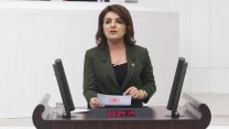 CHP'li Gülcan Kış'tan 29 Ekim Cumhuriyet Bayramı mesajı