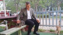 CHP'li Ayhan Barut'tan Hayvan Hakları Yasası çağrısı: Ölüm getiren yasa teklifi geri çekilsin