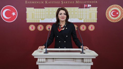 CHP'li Gülcan Kış: Pahalılık yabancı turistleri kaçırıyor