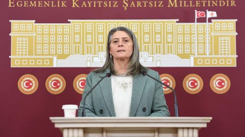 CHP'li Sibel Suiçmez'den evde bakım yardımları sorusu