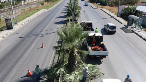 Manisa Büyükşehir'den Muradiye-Menemen yolundaki yeşil alanlara bakım çalışması