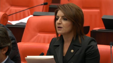 CHP'li Gülcan Kış’tan yenidoğan çetesi tepkisi: Sağlık ranta teslim edildi, Sağlık Bakanı istifa etmeli