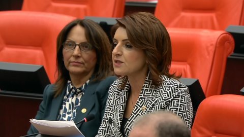 CHP'li Gülcan Kış: Emeklilikte adalet sağlanmalı, emekçinin feryadı duyulmalı