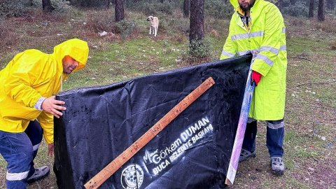 Buca Belediyesi can dostlarını yuvaya kavuşturuyor