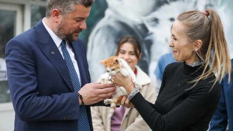 Mucize, Buca Belediyesi veterinerleri sayesinde hayata tutundu