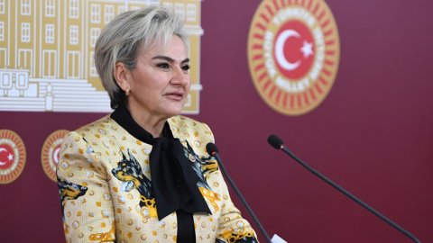 CHP'li Nimet Özdemir'den hayvan hakları konusunda yapılan son düzenlemelere tepki